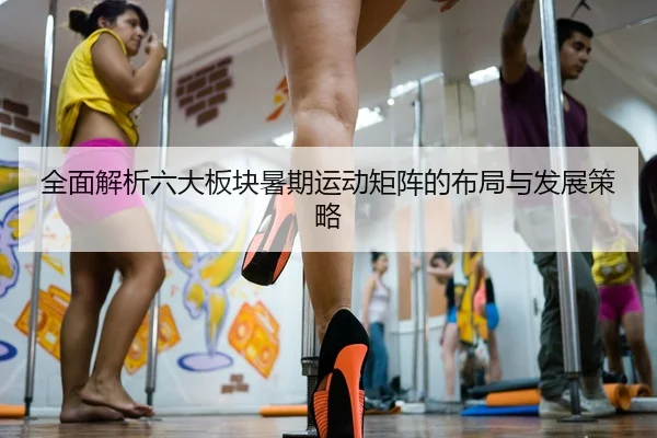 全面解析六大板块暑期运动矩阵的布局与发展策略